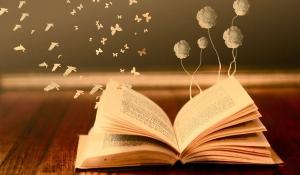 مسابقه کتابخوانی به وقت آرامش